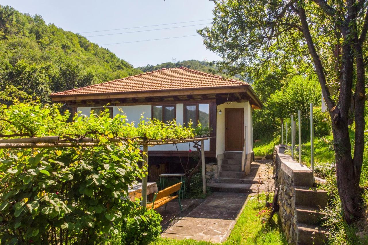 Holiday Home Lyubovo Gabrovo Extérieur photo