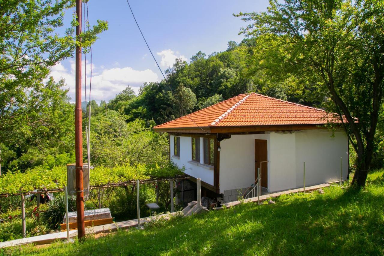 Holiday Home Lyubovo Gabrovo Extérieur photo