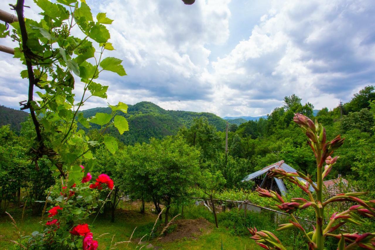 Holiday Home Lyubovo Gabrovo Extérieur photo
